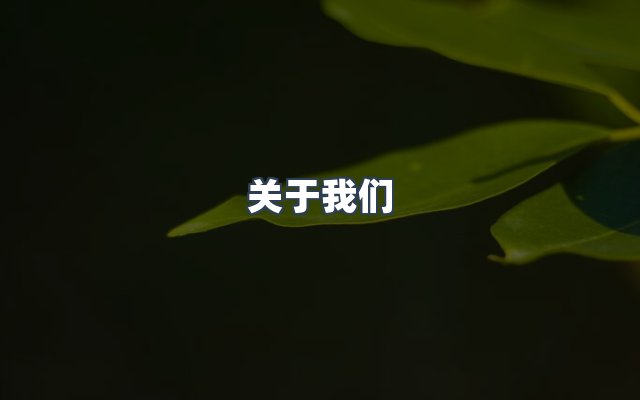 团队合作